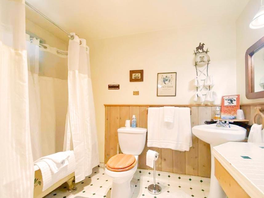 Dawson House Lodge チェモー エクステリア 写真